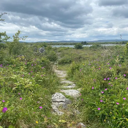 Luxury Glamping Dome With Views Of The Burren Boston
