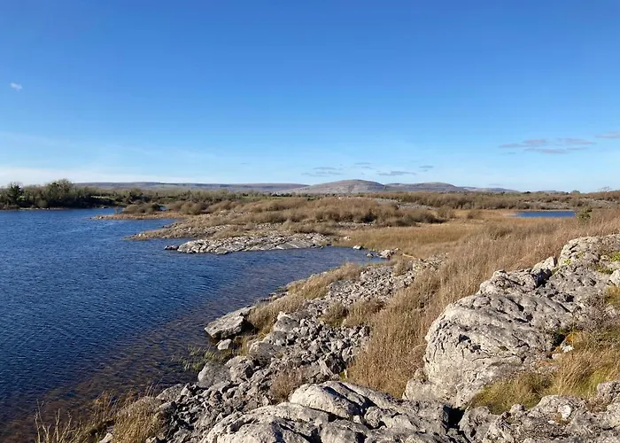 Burren Glamping Dome - 1 Bed Lux Pets Welcome *